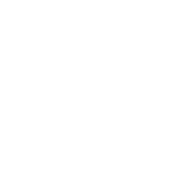 nelum-logo-transparente