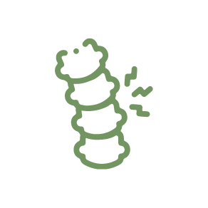 Espalda